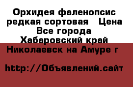 Орхидея фаленопсис редкая сортовая › Цена ­ 800 - Все города  »    . Хабаровский край,Николаевск-на-Амуре г.